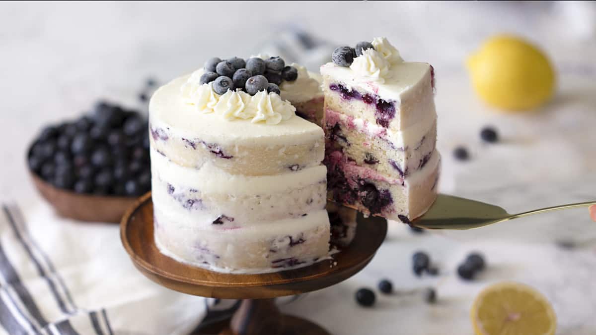 Blueberry Lemon Cake      | The Farmer’s Bakery Curaçao
